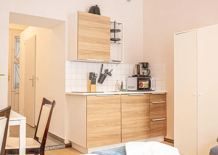 Spacious 3 Adjacent Apartments, Very In فيينا